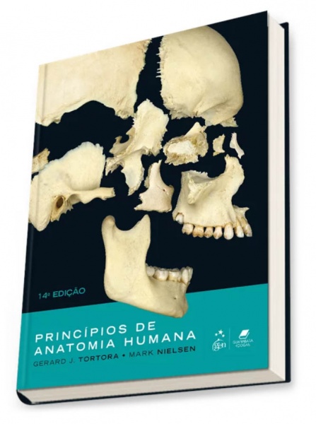 Princípios De Anatomia Humana