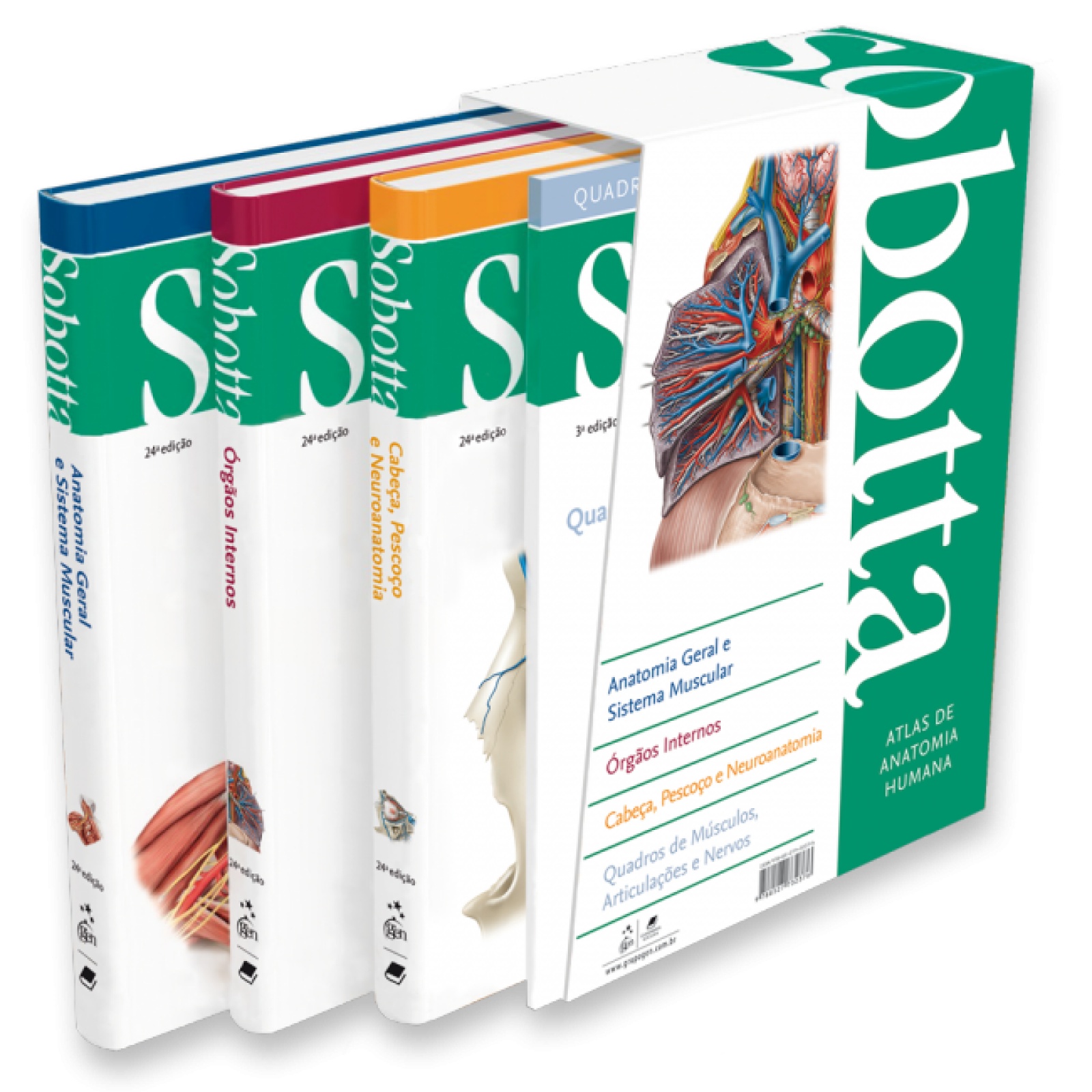 Atlas De Anatomia Humana - 3 Volumes