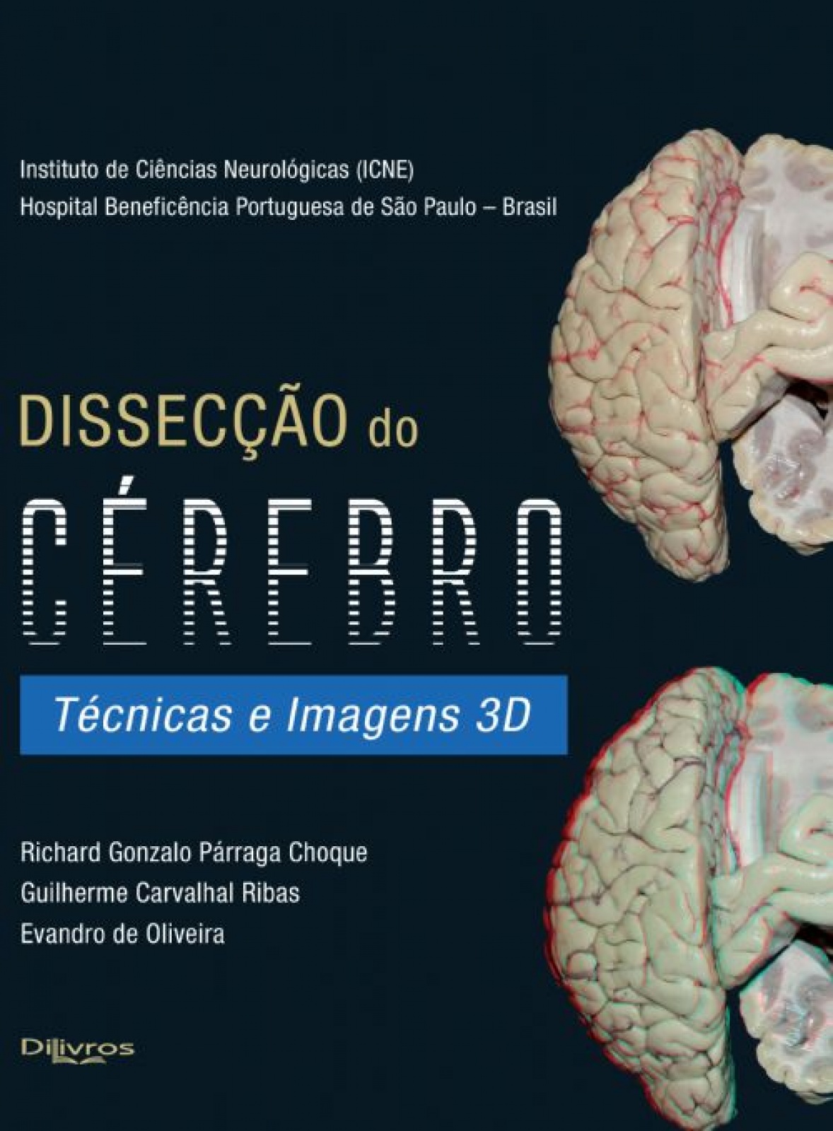 O Sistema Nervoso Humano: Um Enfoque Psico-Funcional