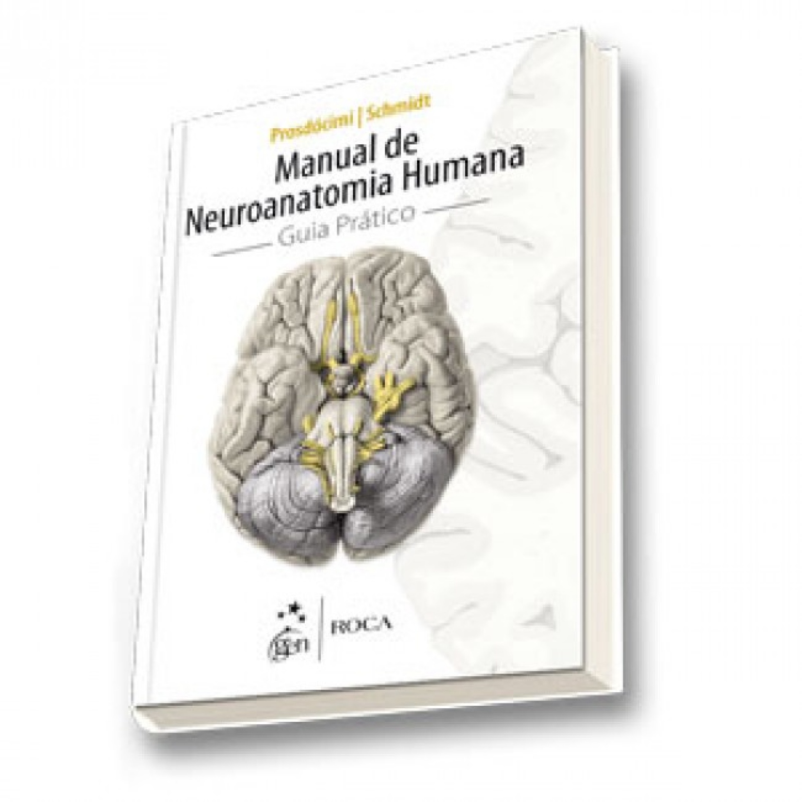 O Sistema Nervoso Humano: Um Enfoque Psico-Funcional