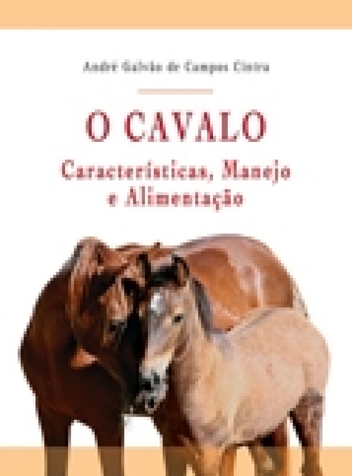 O Cavalo - Características, Manejo E Alimentação