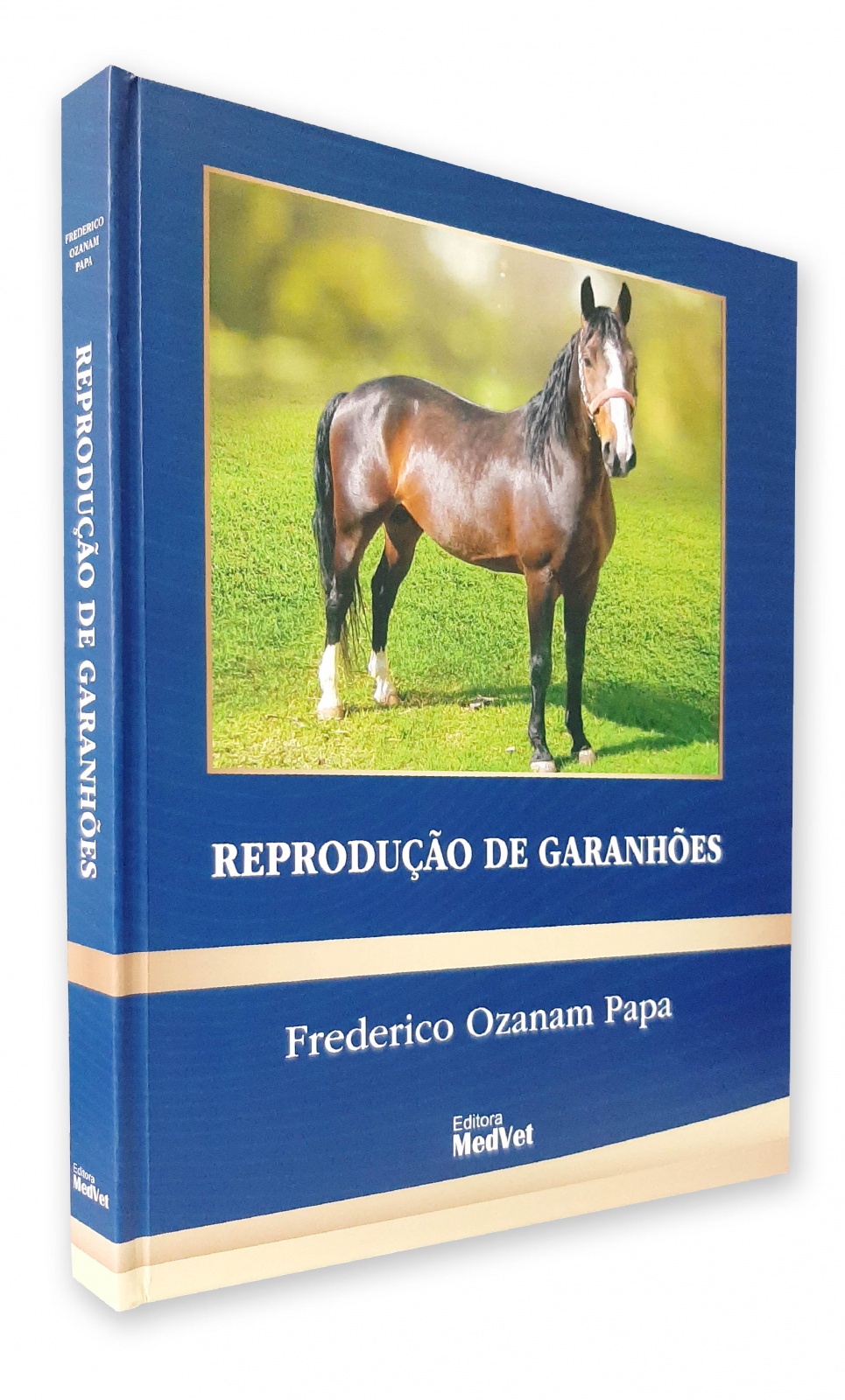 Reprodução De Garanhões