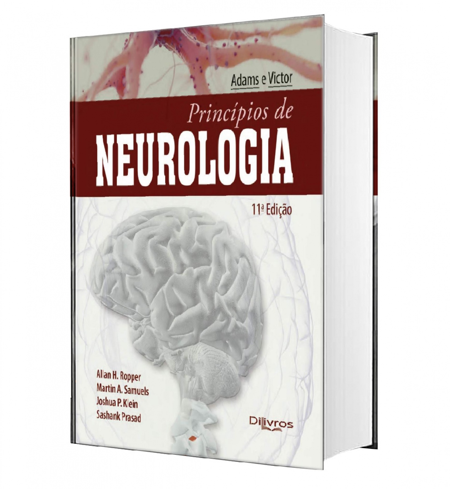 O Sistema Nervoso Humano: Um Enfoque Psico-Funcional