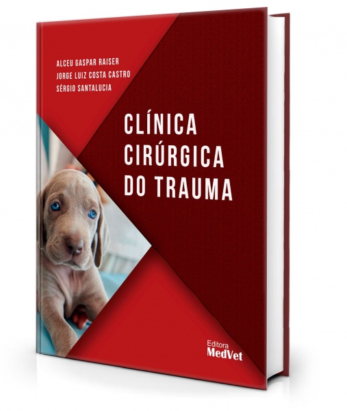 Clínica Cirúrgica Do Trauma