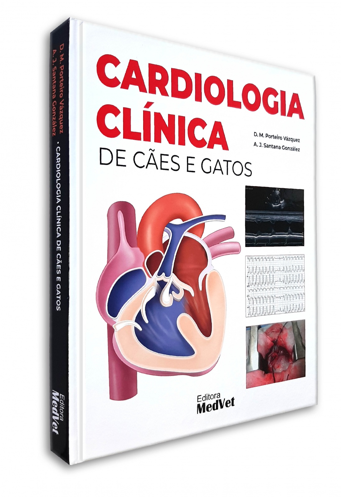 Cardiologia Clínica De Cães E Gatos