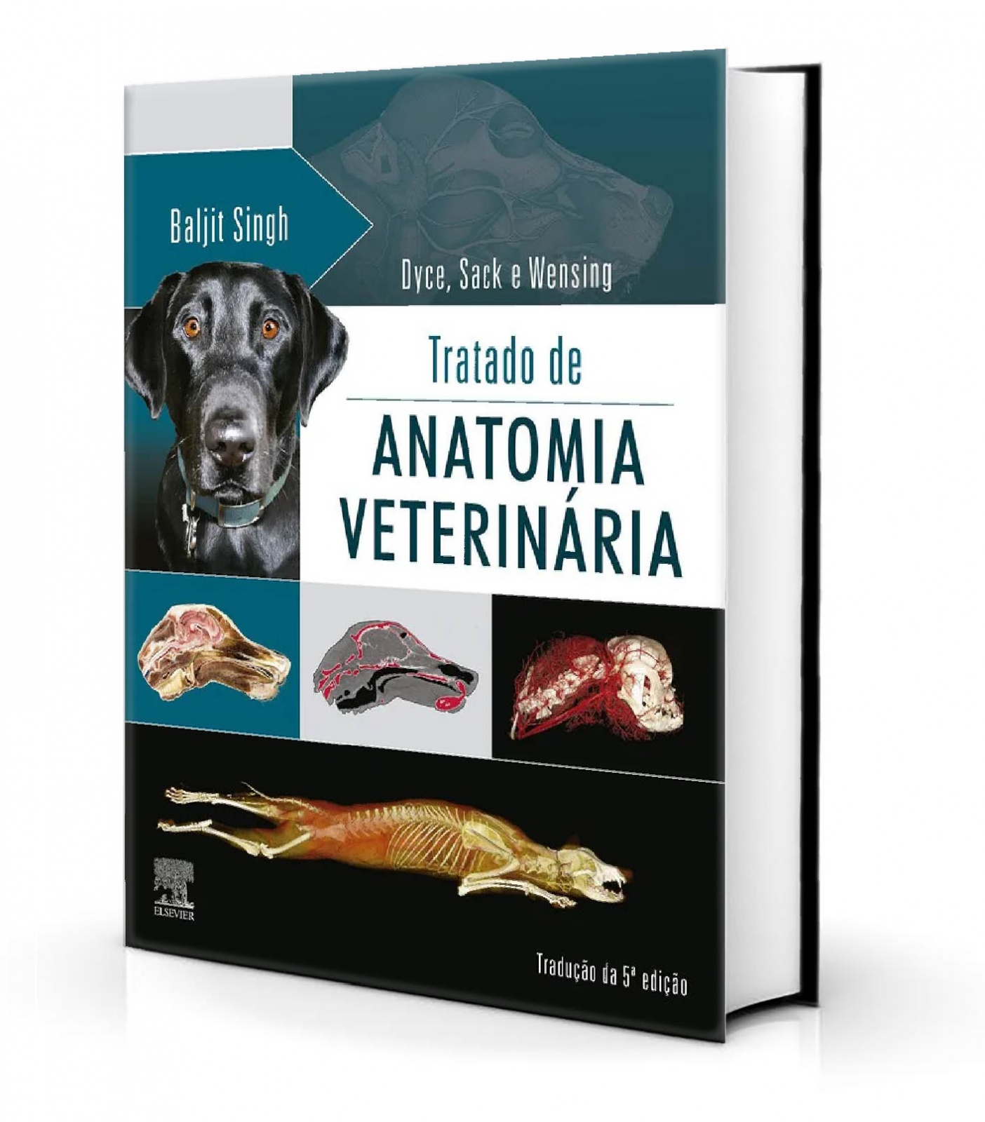 Tratado De Anatomia Veterinária Livresp Livrarias Especializadas