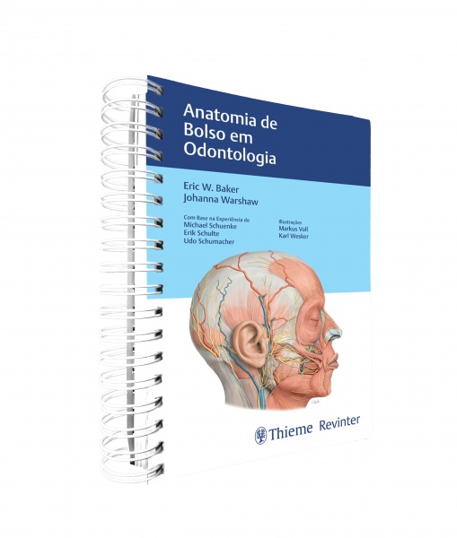 Anatomia De Bolso Em Odontologia