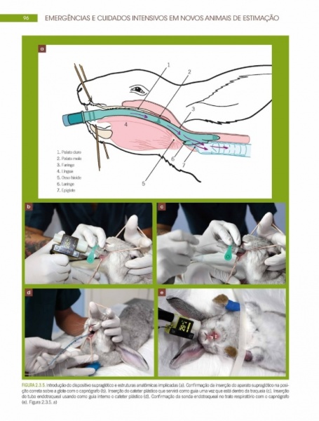 Emergências E Cuidados Itensivos Em Novos Animais De Estimação
